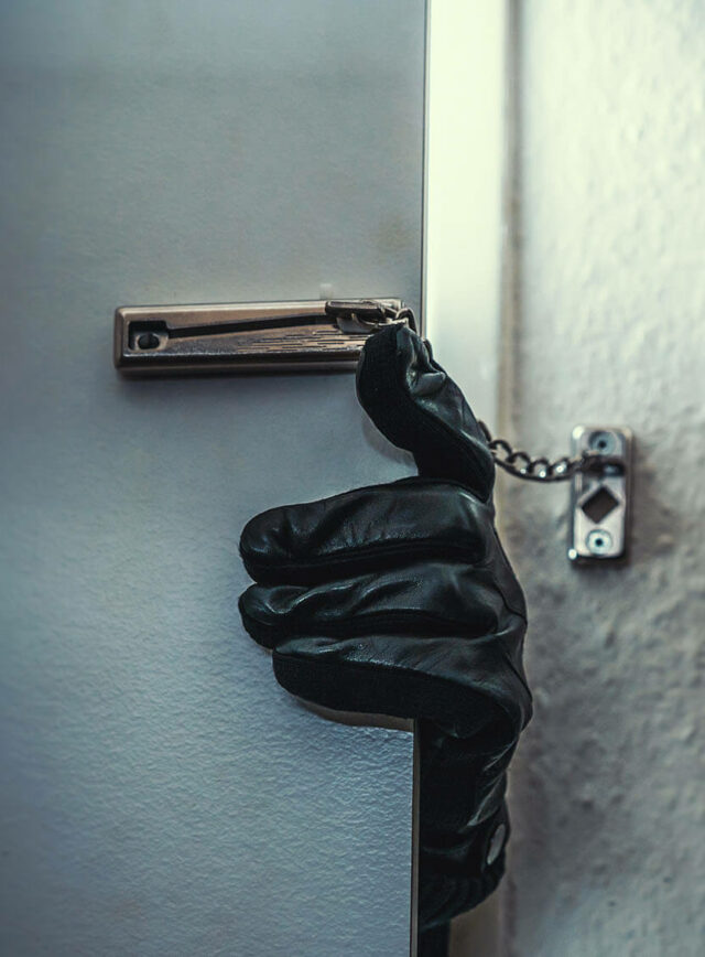 Intruder Alarm Systems